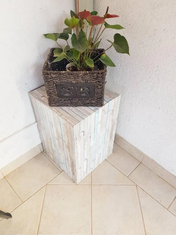 Studio Apartman Salkic Διαμέρισμα Fažana Κροατία